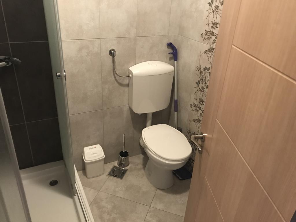 Apolon * Novi Sad