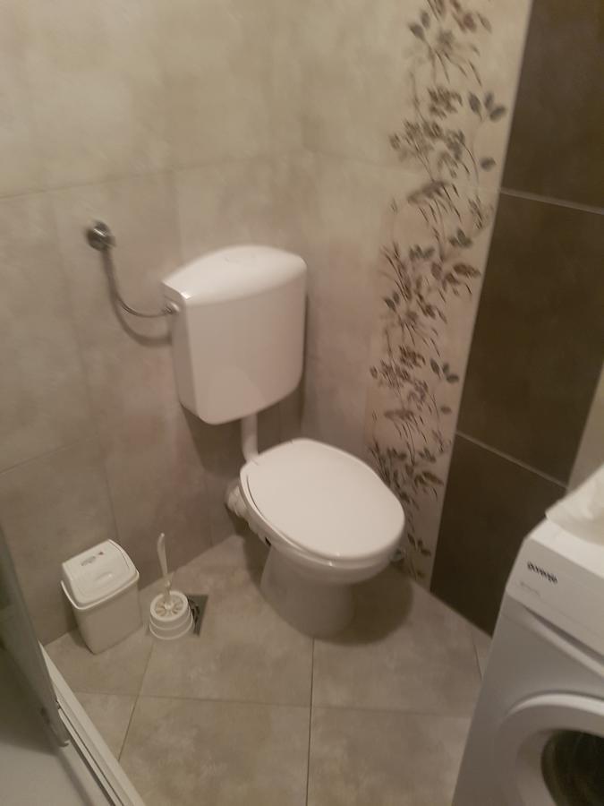 Apolon Novi Sad