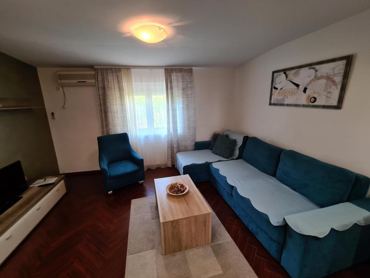 Apolon Novi Sad